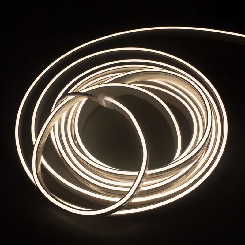 Đèn LED dải dây đèn LED neon linh hoạt Màu sắc có thể thay đổi ngoài trời IP65 IP67
