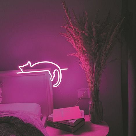 Dải đèn LED neon linh hoạt sáng sáng Silicone DC 12V Trang trí chống thấm nước