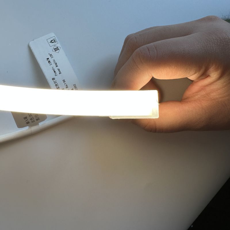 Đèn LED Dải Neon Silicone 2700K - 6000K/ RGBW / DMX512 24V 1010 1212 16116 Đèn Neon